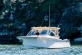 Grady-White Freedom 307