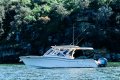 Grady-White Freedom 307
