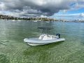 Gemini Waverider 650