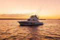Riviera 50 Sports Motor Yacht