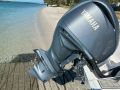 Sea Fox 248 Commander