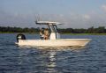 Sea Fox 251 Bay Fox