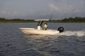 Sea Fox 251 Bay Fox