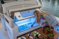 Boston Whaler 380 Realm
