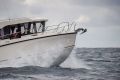 Arvor 805 Sportsfish