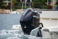 Arvor 805 Sportsfish