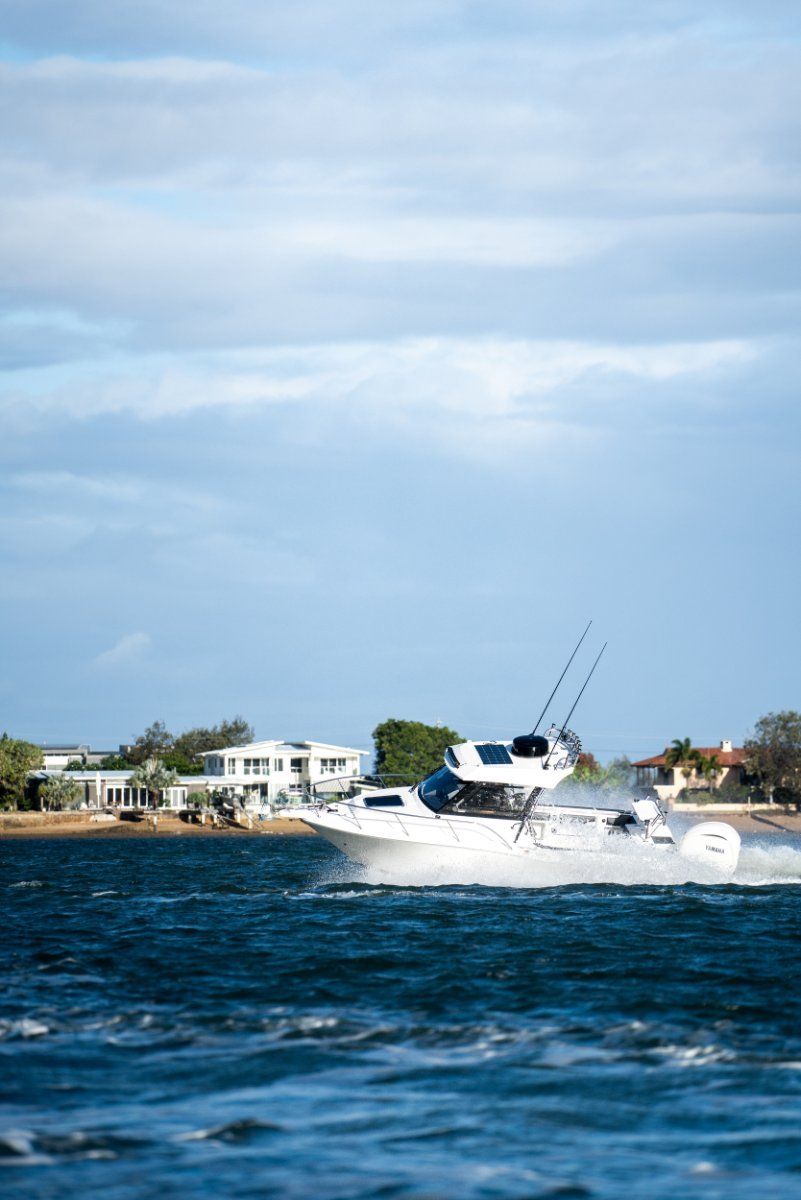 CruiseCraft E695HT