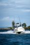 CruiseCraft E695HT