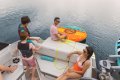Sea Ray SDX270 SURF