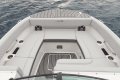 Sea Ray SDX270 SURF