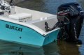 Blue Cat 17