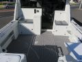 Sailfish 3000