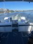 Sailfish 3500 Platinum Sports