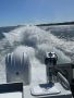 Sailfish 3500 Platinum Sports