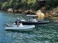 Gemini Waverider 550