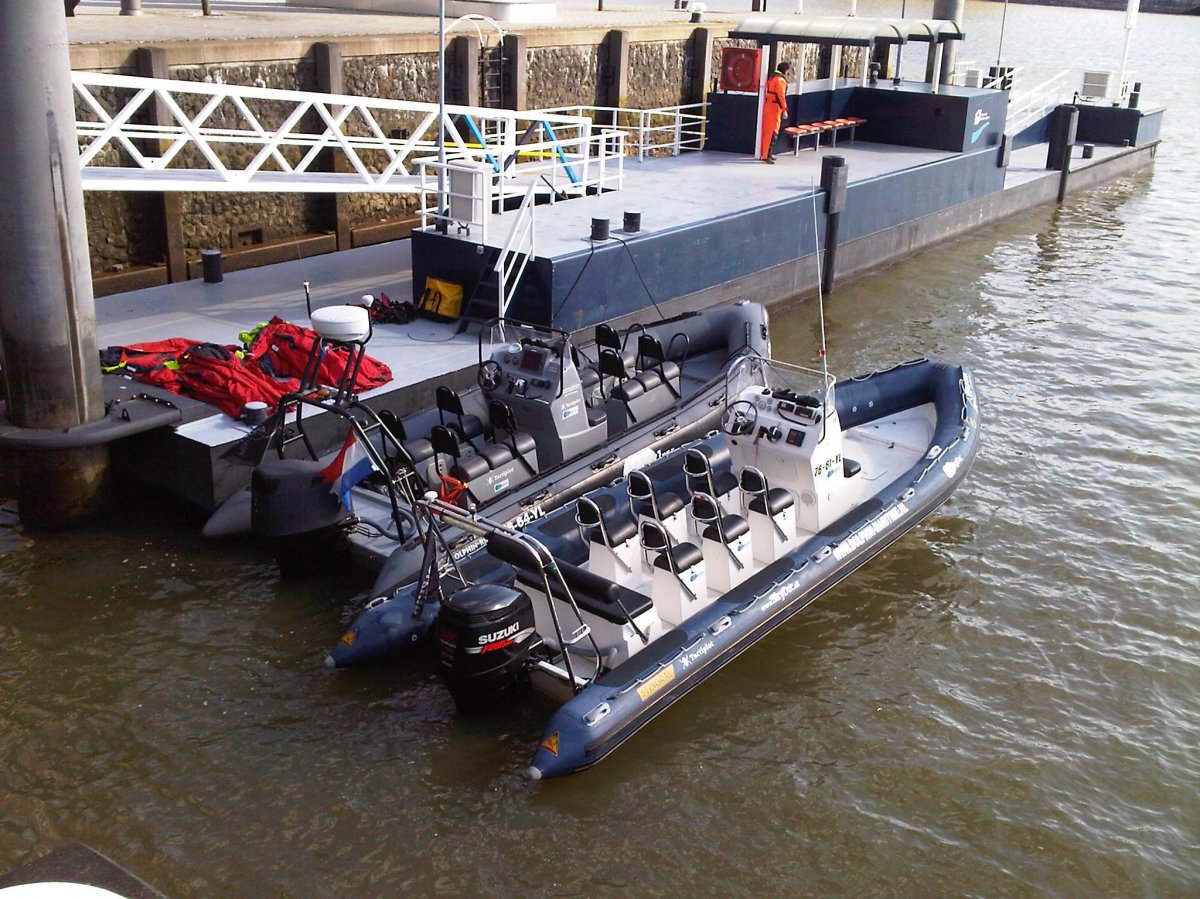 Stingray Ribs 8.5 Searaider