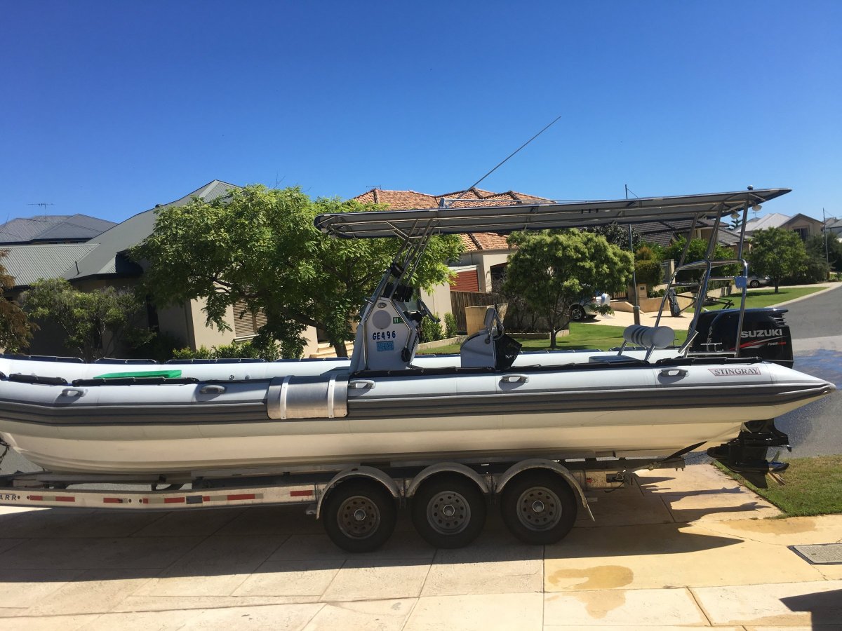 Stingray Ribs 9.5 Searaider