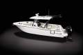 Robalo R300