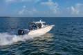 Robalo R300