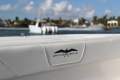 Invincible 40 Catamaran