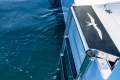 Invincible 46 Catamaran