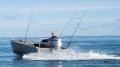 Kingfisher Minicat 390