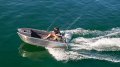 Kingfisher Minicat 390