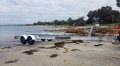 Southbound Island Pro