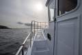 Helmsman Trawler 38E Pilothouse