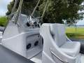 Gemini Waverider 650