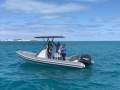 Gemini Waverider 650