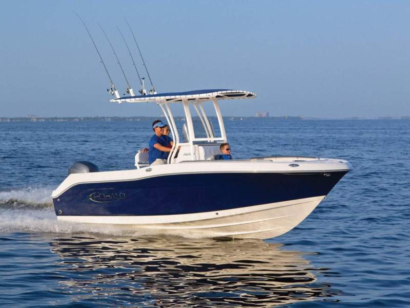 Robalo R200