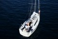 Delphia 31
