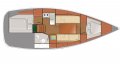 Delphia 31