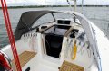Delphia 31