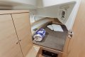 Delphia 34
