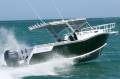 Coraline 750 Offshore