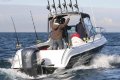 Haines Hunter 650 R