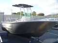 Bullet 4.6 Spitzer