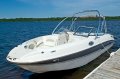 Stingray 235lr