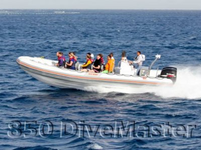 Tiger Marine Divemaster 850